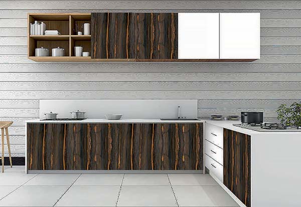 Modular Kitchen
